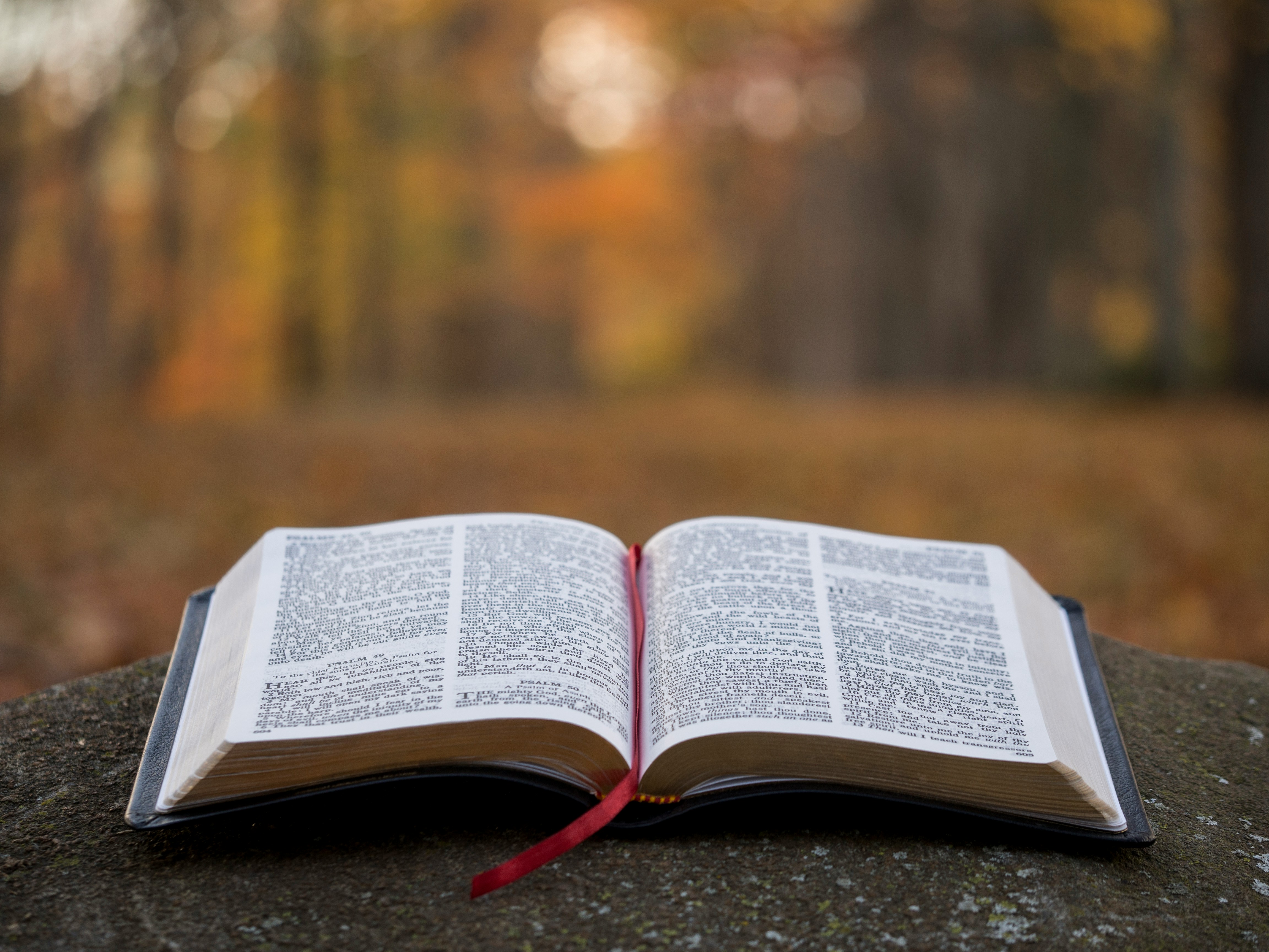 Photo by Aaron Burden on Unsplash of an open Bible.